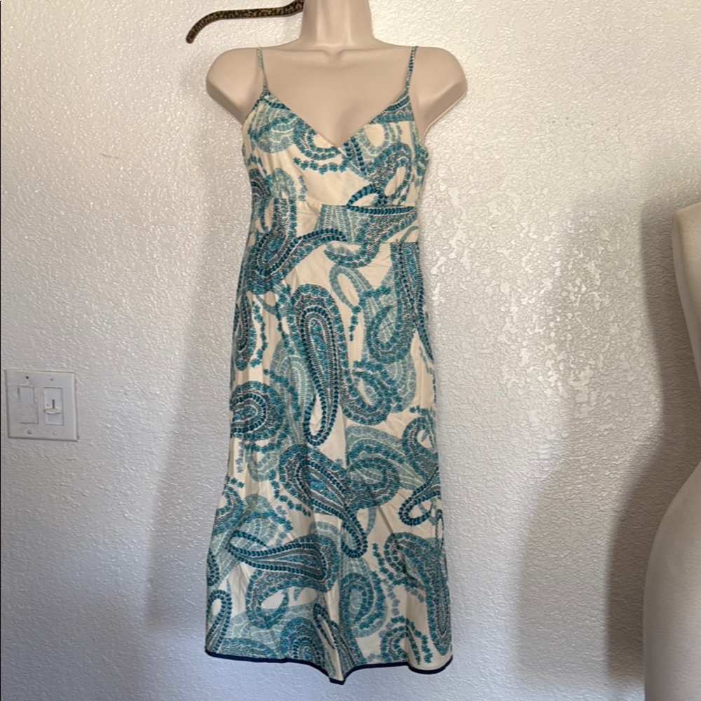 J Crew Elegant Blue Paisley Dress
